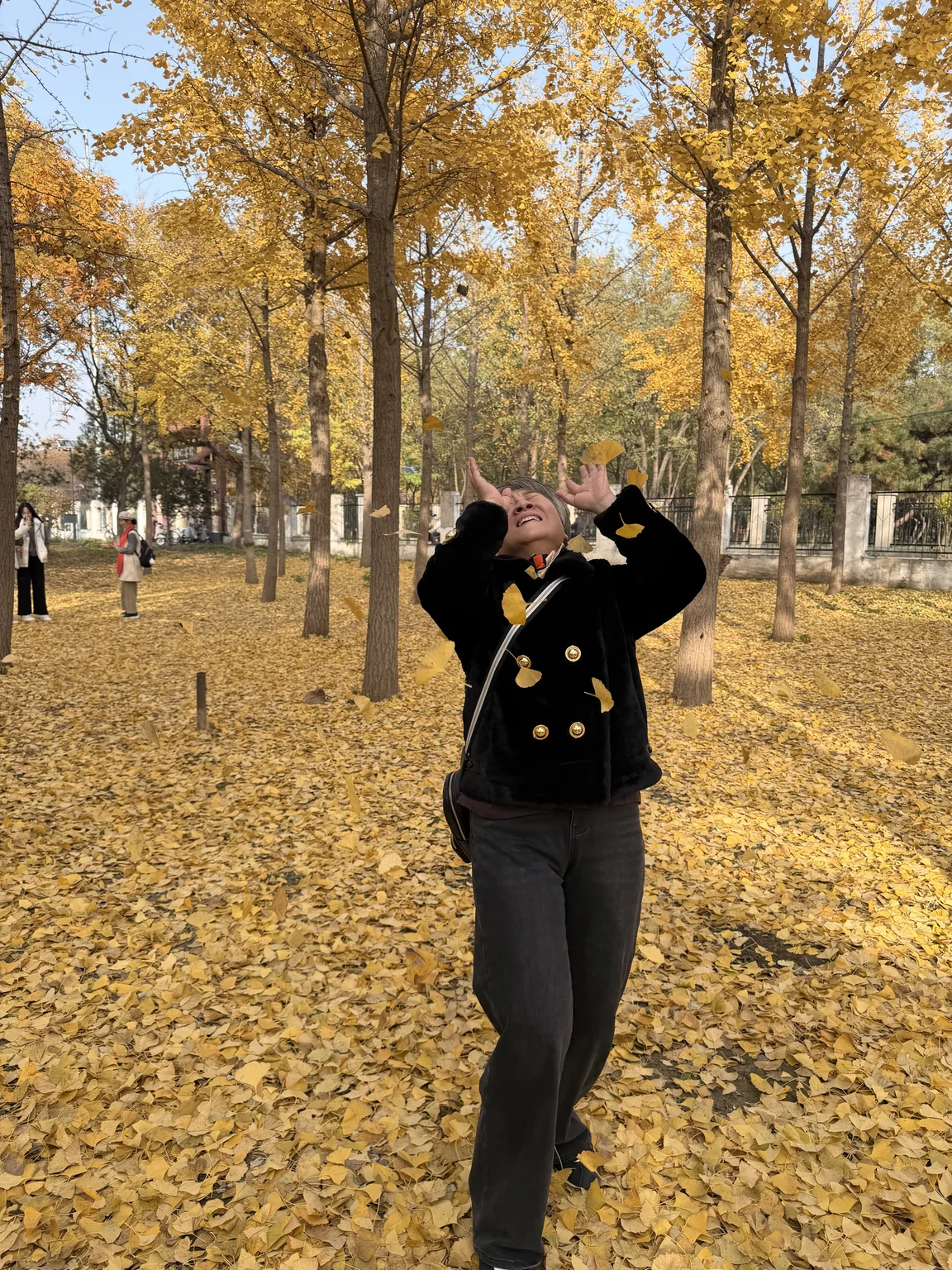 photo_951
